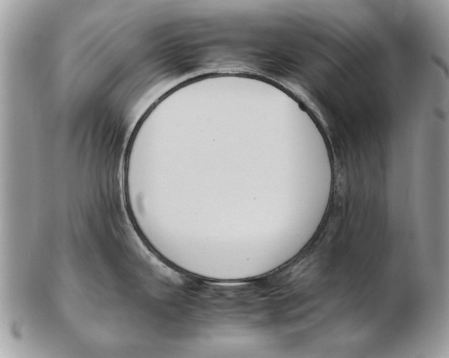 X0000102391343200808221816