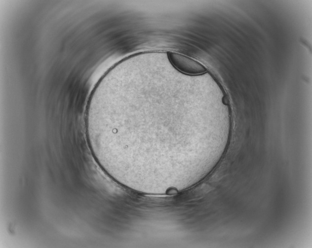 X0000102391344200808221816