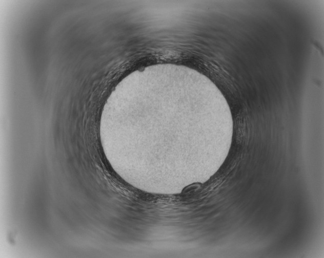 X0000102391345200808221815