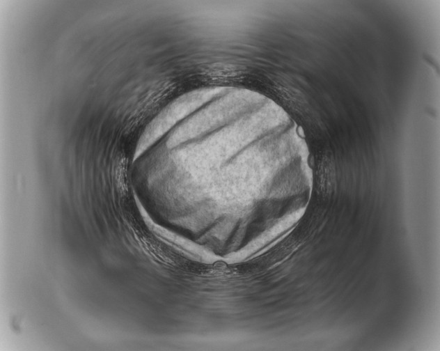 X0000102391346200808221815