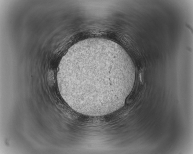 X0000102391347200808221815