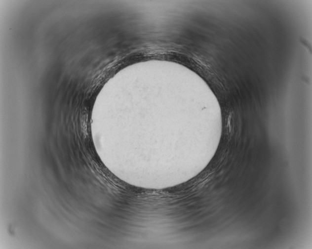 X0000102391348200808221815