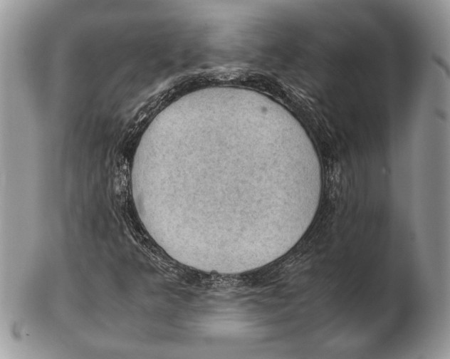 X0000102391349200808221815