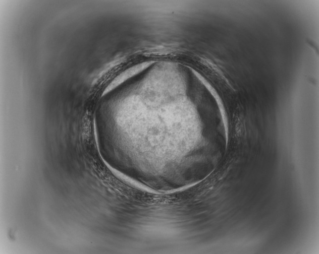 X0000102391350200808221815