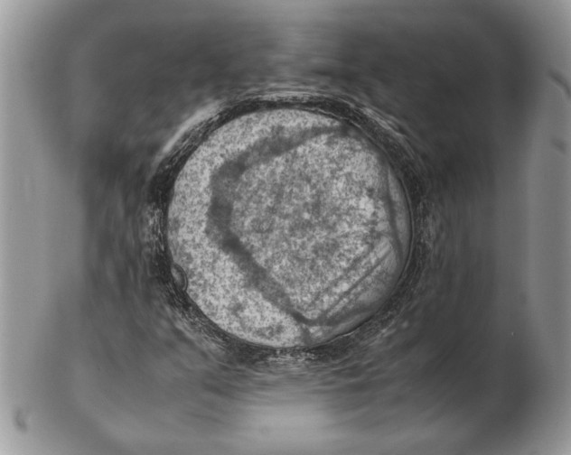 X0000102391351200808221815