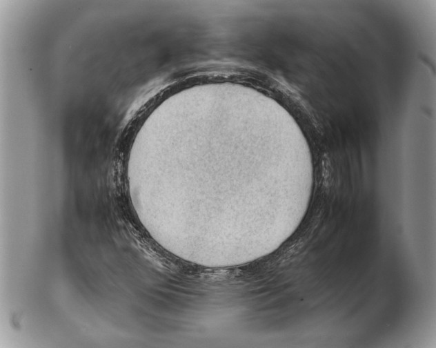 X0000102391352200808221815