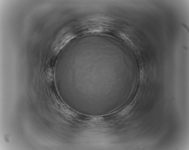 X0000102391353200808221815