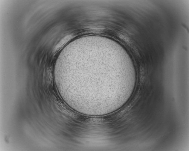 X0000102391354200808221815