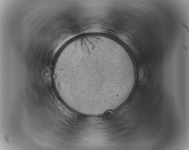 X0000102391356200808221815