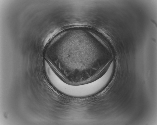 X0000102391357200808221815