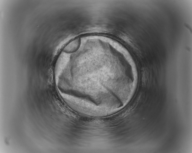 X0000102391358200808221815