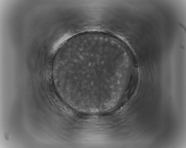 X0000102391359200808221815