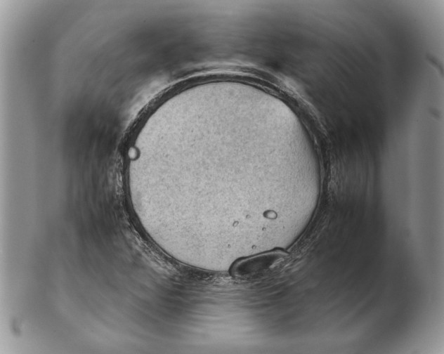 X0000102391360200808221815