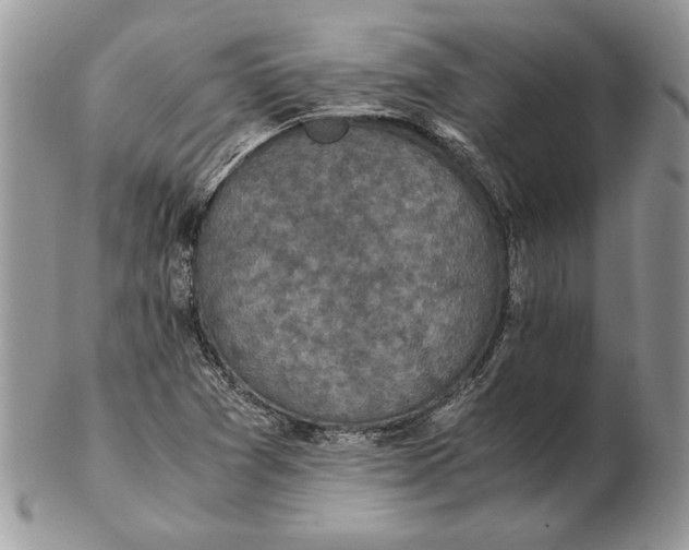 X0000102391361200808221815