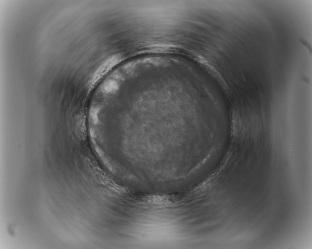 X0000102391362200808221815