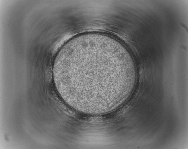 X0000102391363200808221815