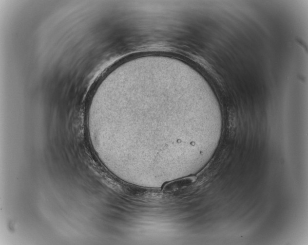 X0000102391364200808221815