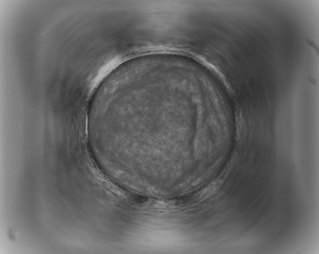 X0000102391365200808221815