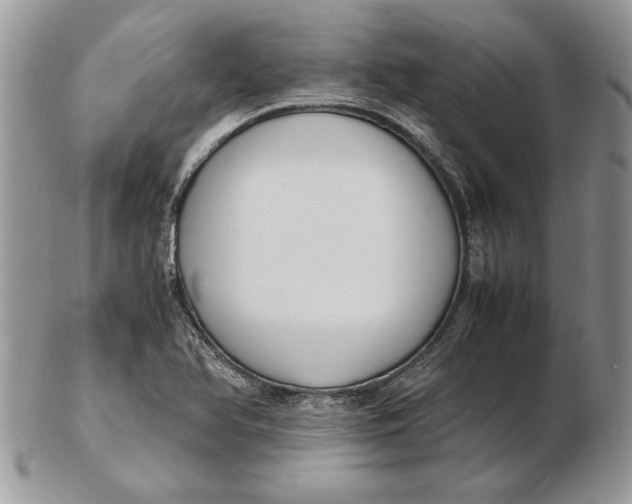 X0000102391366200808221815