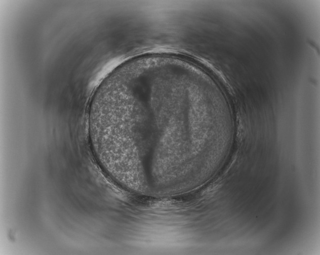 X0000102391367200808221815