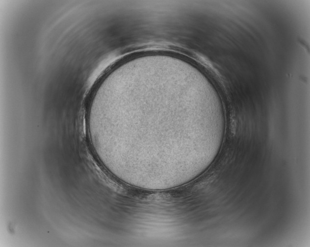 X0000102391368200808221815