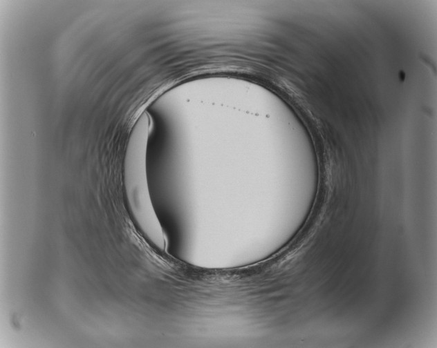 X0000102391369200808221815