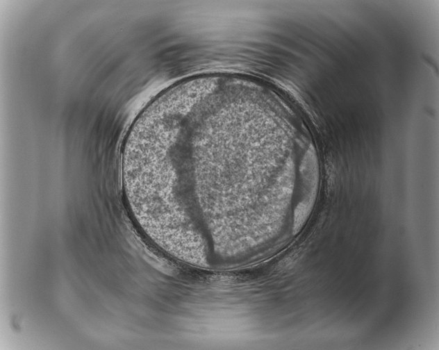 X0000102391371200808221815