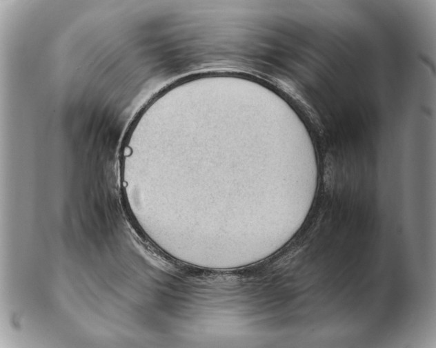 X0000102391372200808221815