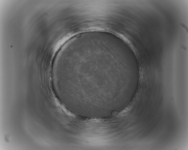 X0000102391373200808221815