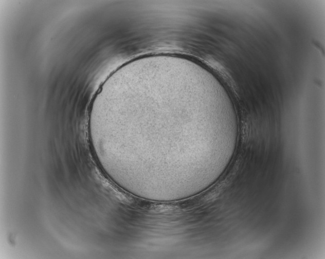 X0000102391374200808221815