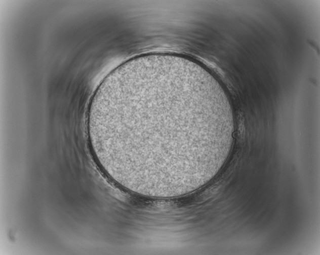 X0000102391375200808221815