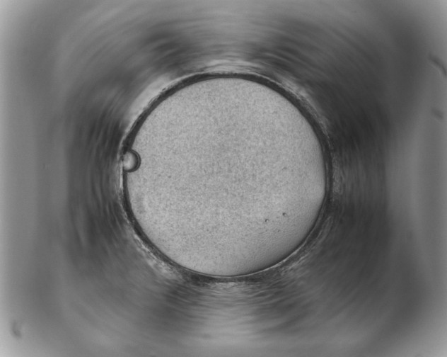 X0000102391376200808221815