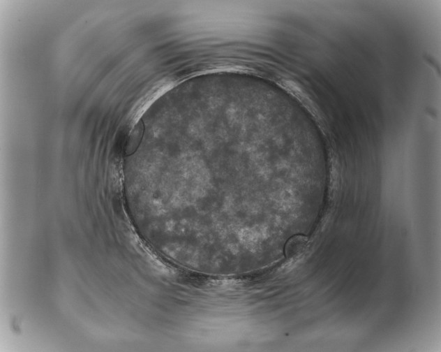 X0000102391377200808221815