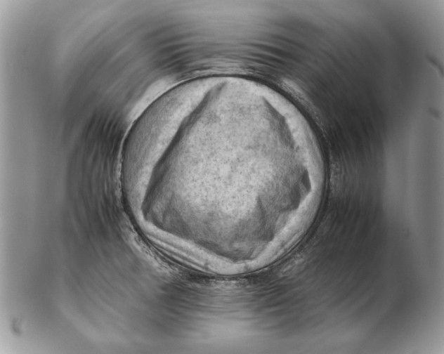 X0000102391378200808221815