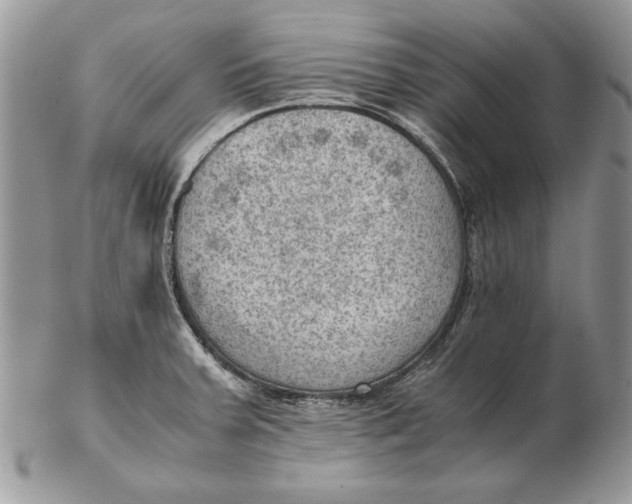 X0000102391379200808221815