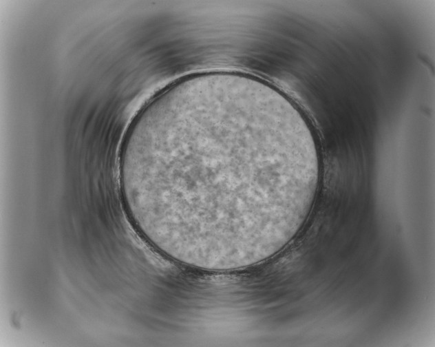 X0000102391380200808221815