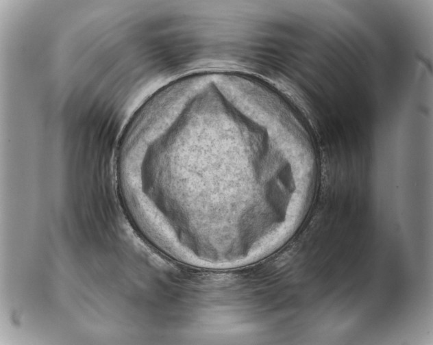 X0000102391382200808221815