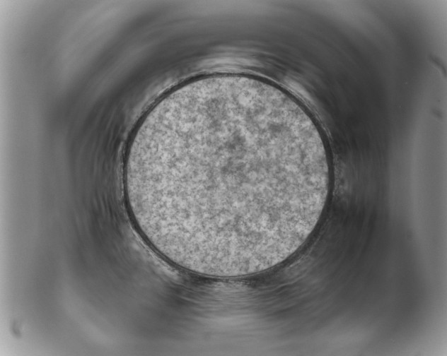 X0000102391384200808221815