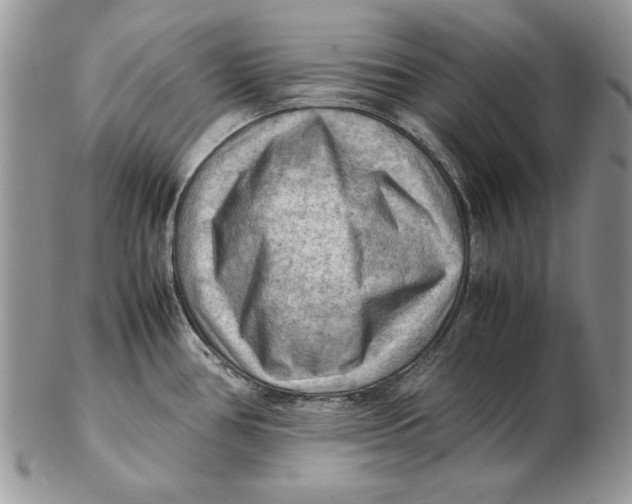 X0000102391386200808221815