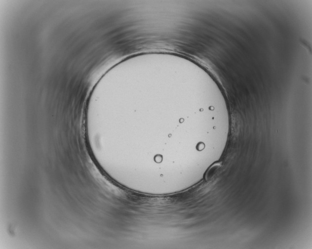 X0000102391387200808221815