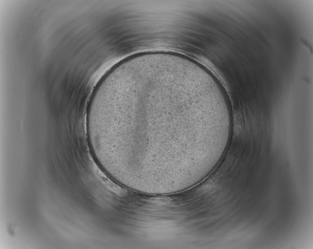 X0000102391388200808221815