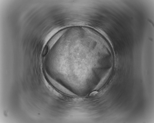 X0000102391389200808221815