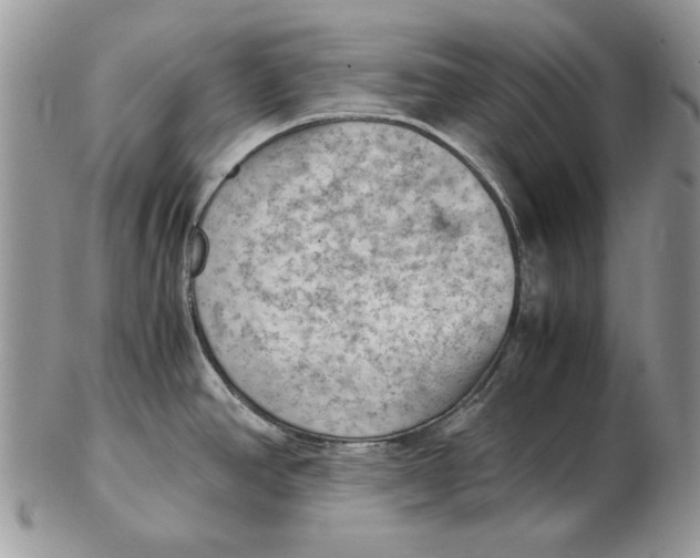 X0000102391390200808221815