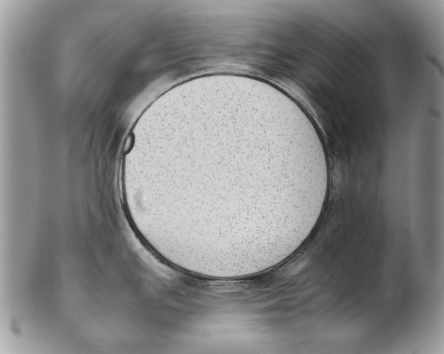 X0000102391391200808221815