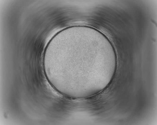 X0000102391392200808221815