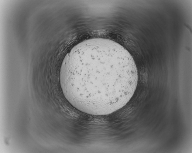 X0000102391393200808221814