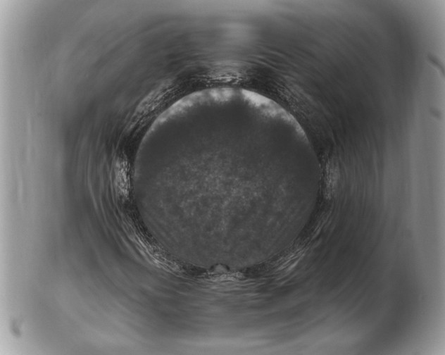 X0000102391394200808221814