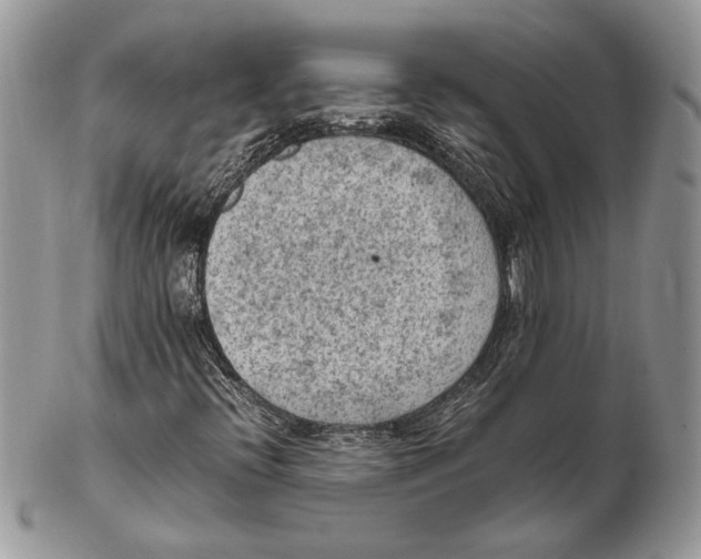 X0000102391396200808221814