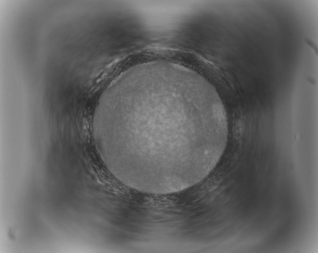 X0000102391397200808221814