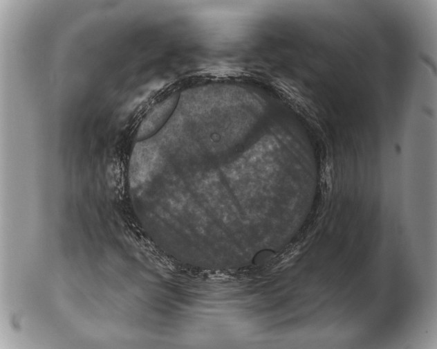 X0000102391398200808221814